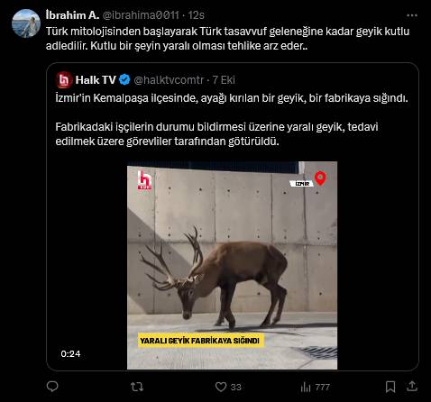 Yaralı geyik Kemalpaşa'da toynağını yere vurup selamlar gibi çöktü! Türk mitolojisinde yaralı geyik ne anlama geliyor? 13